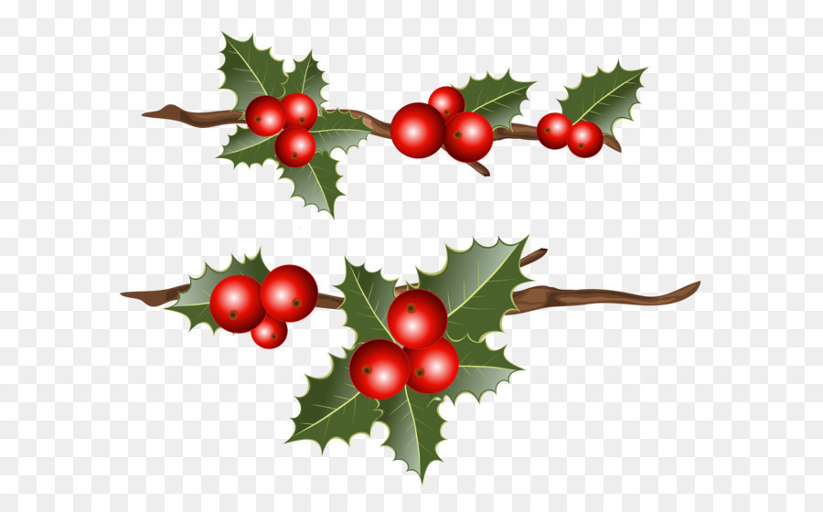 Common holly Christmas Mistletoe Clip art - Holly Branches PNG Clipart Image png download - 4265*3583 - Free Transparent Common Holly png Download.