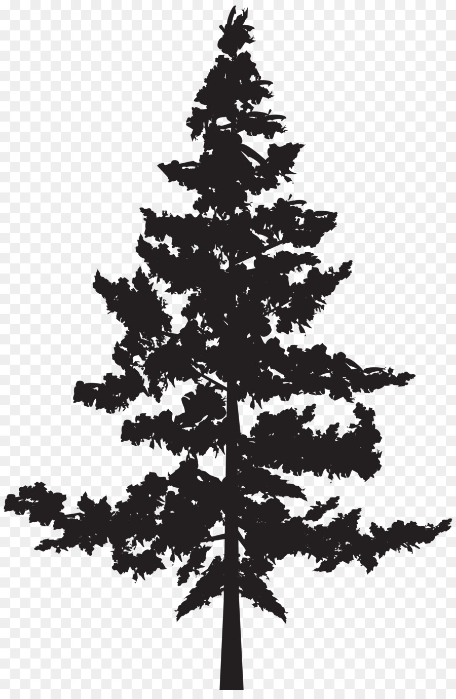 Western red-cedar Tree Evergreen Blue spruce - tree silhouette png download - 5287*8000 - Free Transparent Cedar png Download.