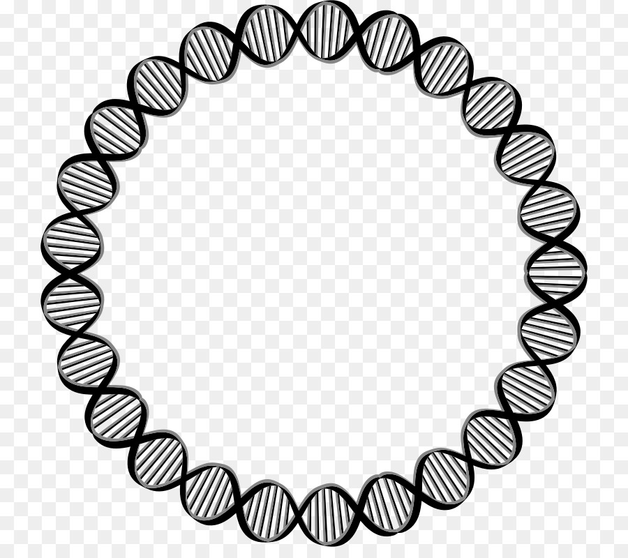 DNA Circle Gene Clip art - DNA png download - 784*784 - Free Transparent Dna png Download.