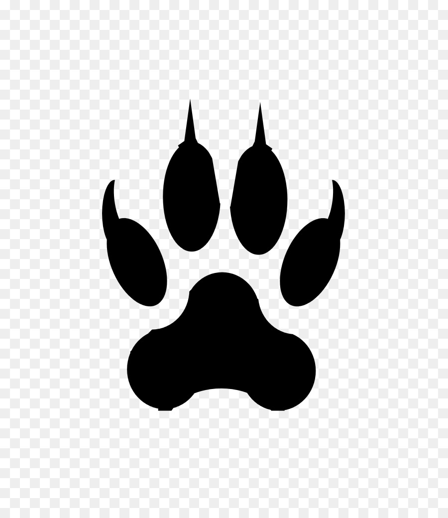 Cat Dog Paw Claw Bear - footprint vector png download - 791*1024 - Free Transparent Cat png Download.