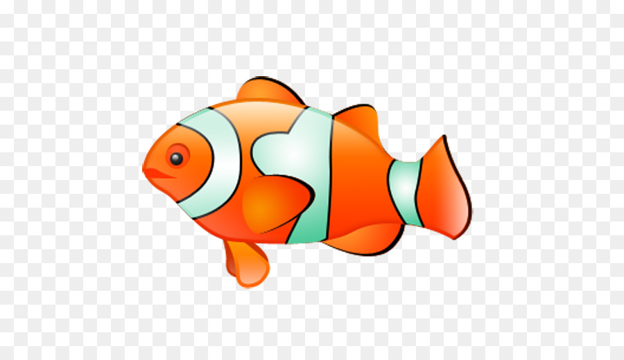 Clownfish Computer Icons Clip art - tropical png download - 512*512 - Free Transparent Clownfish png Download.