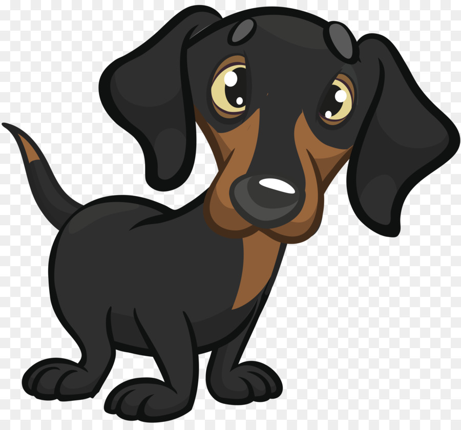Dachshund Cockapoo Puppy - puppy png download - 9324*8590 - Free Transparent Dachshund png Download.