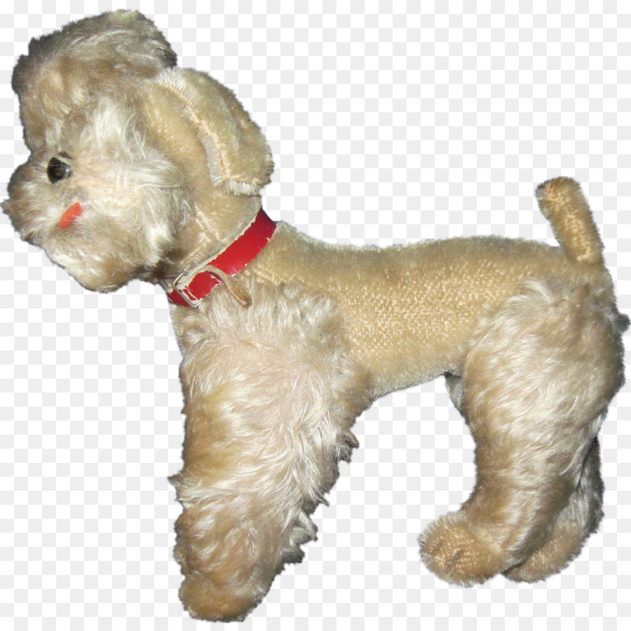 Miniature Poodle Schnoodle Shih Tzu Cockapoo - poodle png download - 1282*1282 - Free Transparent Poodle png Download.