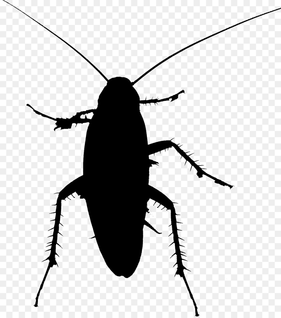 Cockroach Beetle Clip art Silhouette Membrane -  png download - 1247*1407 - Free Transparent Cockroach png Download.