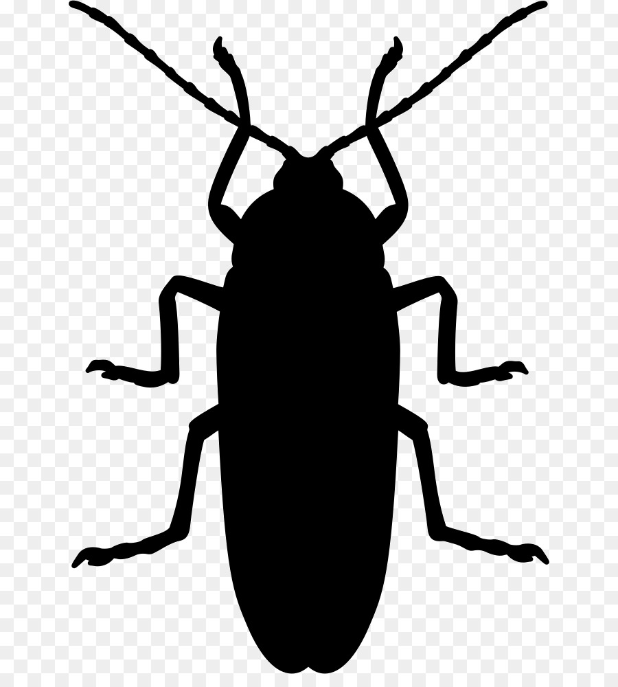 Cockroach Mosquito Beetle Silhouette Pest - cockroach png download - 700*981 - Free Transparent Cockroach png Download.