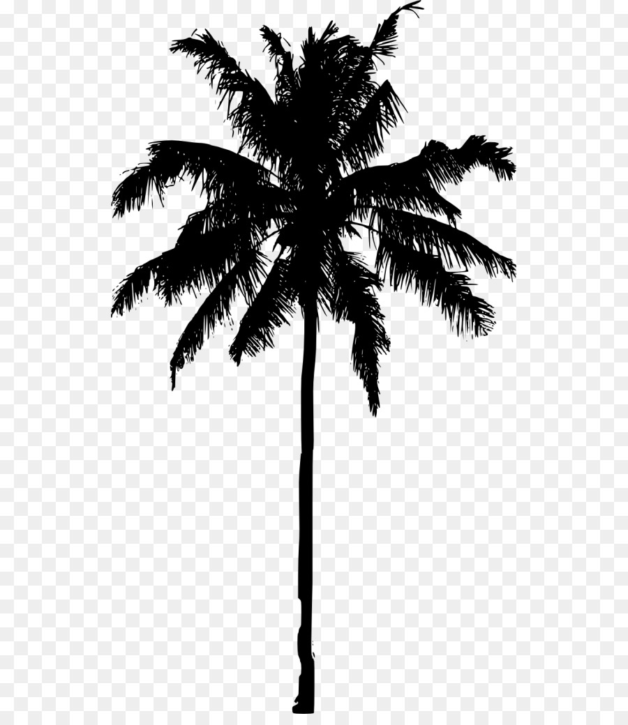Asian palmyra palm Arecaceae Silhouette Tree - overlooking the coconut tree png download - 581*1024 - Free Transparent Asian Palmyra Palm png Download.
