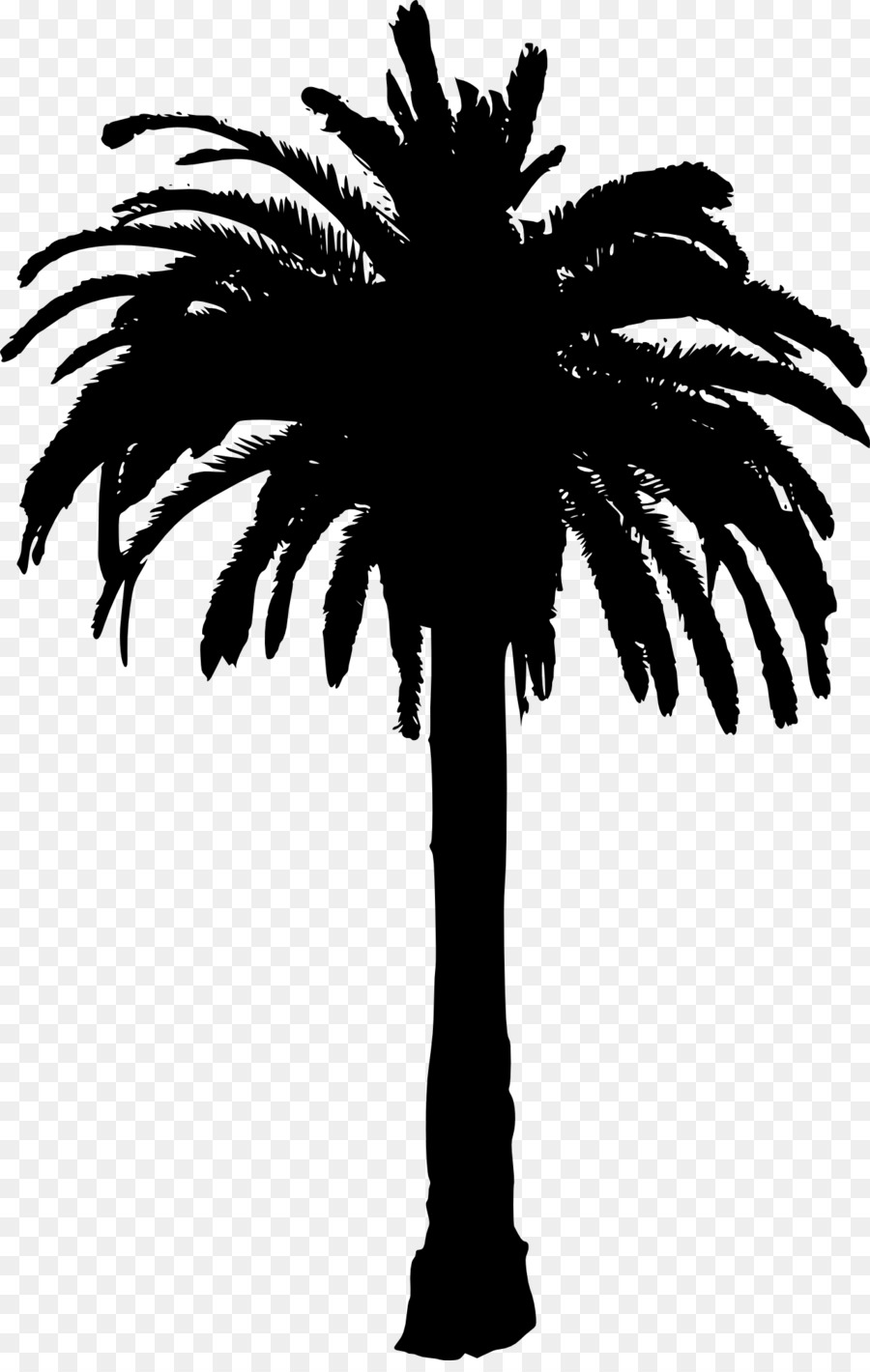 Arecaceae Silhouette Tree Clip art - coconut tree png download - 1278*2000 - Free Transparent Arecaceae png Download.