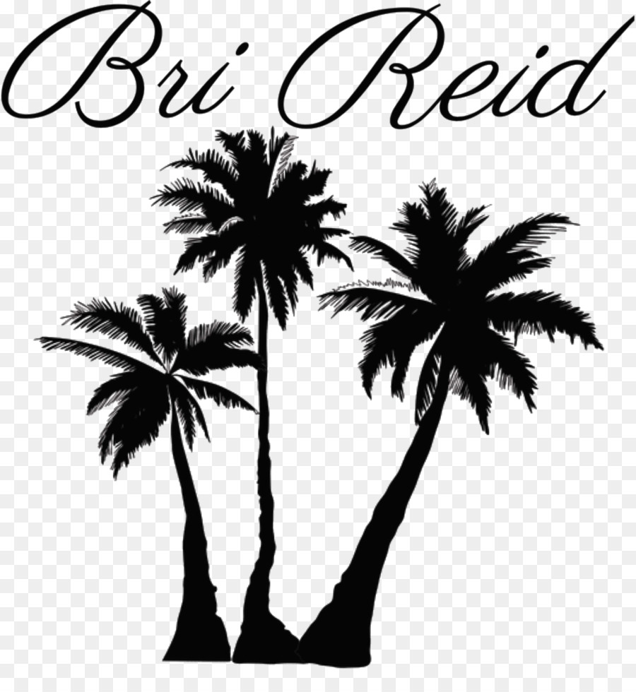 Clip art Portable Network Graphics Palm trees Coconut Illustration - coconut png download - 1000*1072 - Free Transparent Palm Trees png Download.