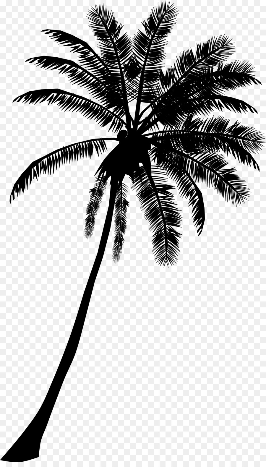Arecaceae Tree Cdr Silhouette Clip art - coconut tree png download - 1381*2400 - Free Transparent Arecaceae png Download.