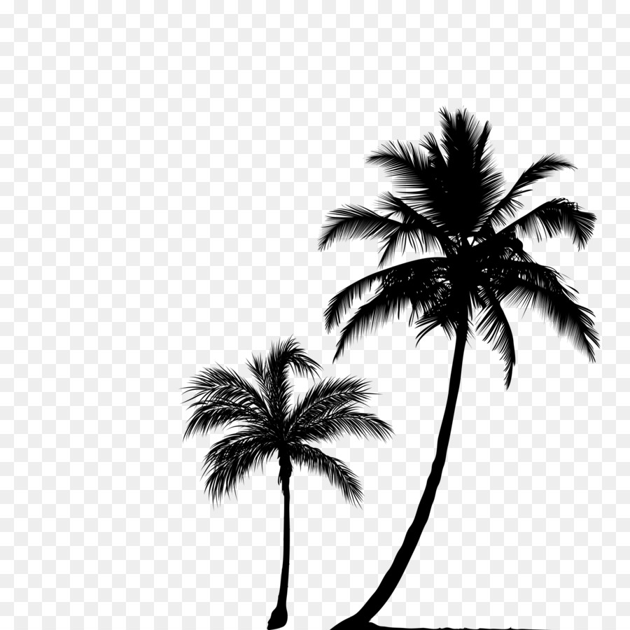 Arecaceae Tree Silhouette Clip art - forest png download - 1871*1871 - Free Transparent Arecaceae png Download.