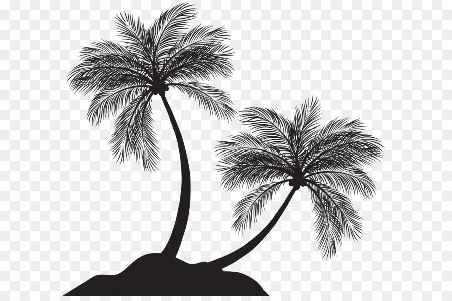 Arecaceae Silhouette Clip art - Two Palm Trees Silhouette PNG Clip Art png download - 8000*7261 - Free Transparent Arecaceae png Download.