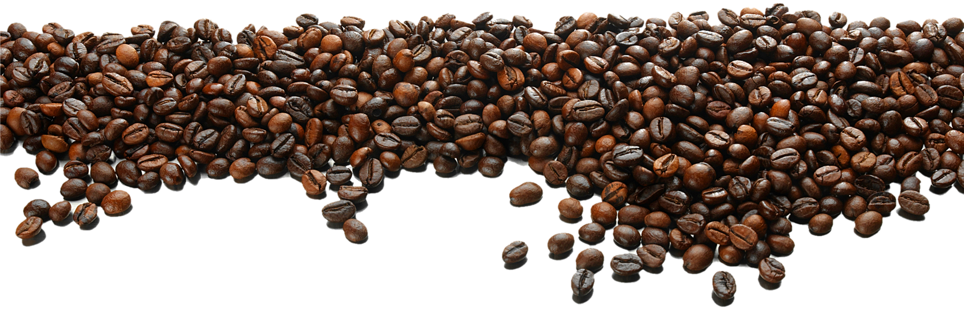 Coffee bean Tea Cafe - Coffee beans background png download - 3063*1012