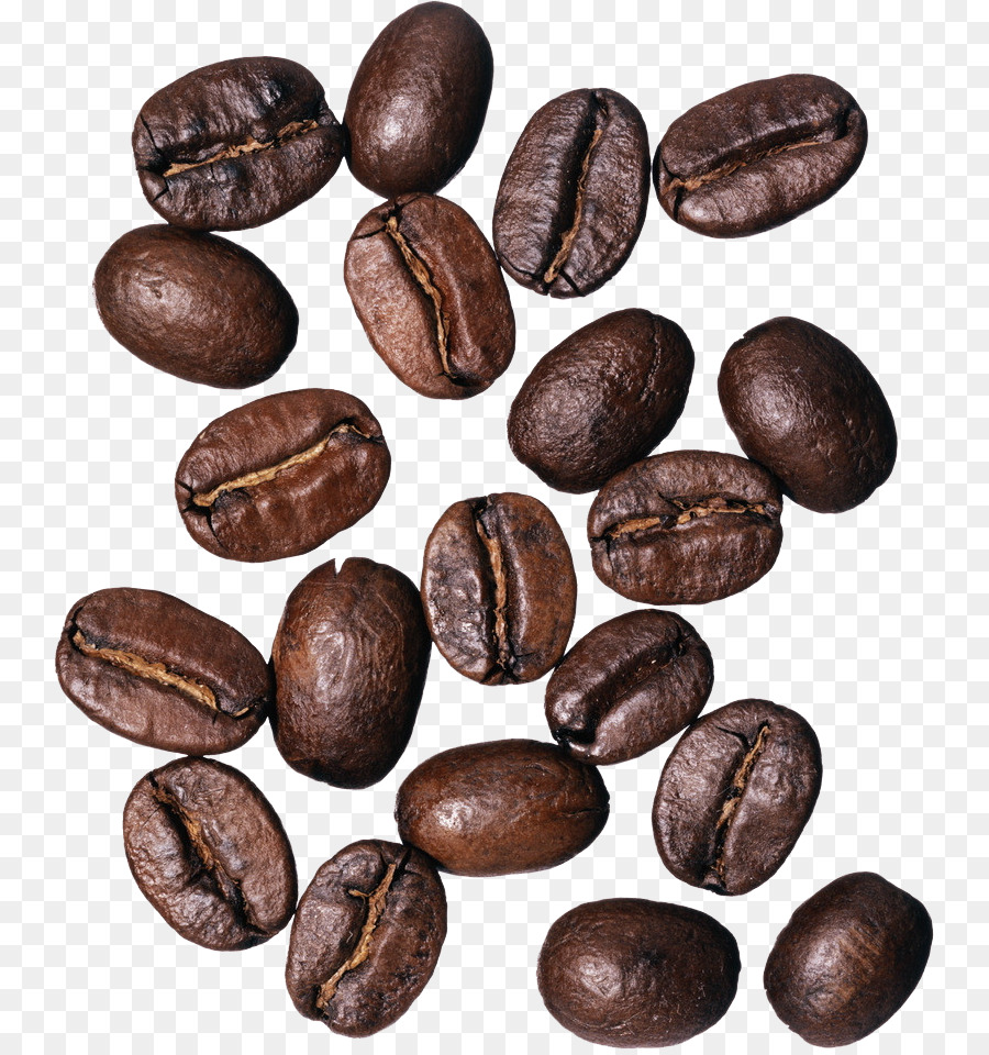 Coffee bean Cafe Burr mill Grinding machine - Coffee beans png download - 801*955 - Free Transparent Coffee png Download.