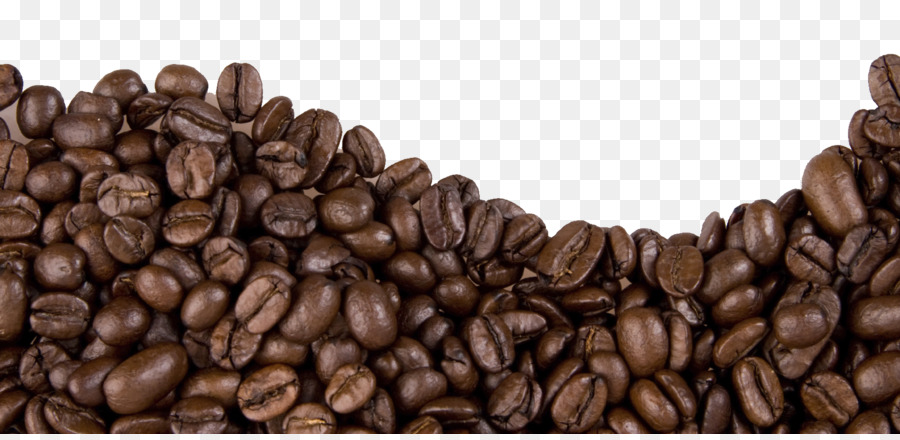 Coffee bean Cafe Cocoa bean - coffee beans png download - 1698*819 - Free Transparent Coffee png Download.