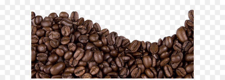 Jamaican Blue Mountain Coffee Cafe Coffee bean - Coffee beans PNG image png download - 1698*819 - Free Transparent Coffee png Download.