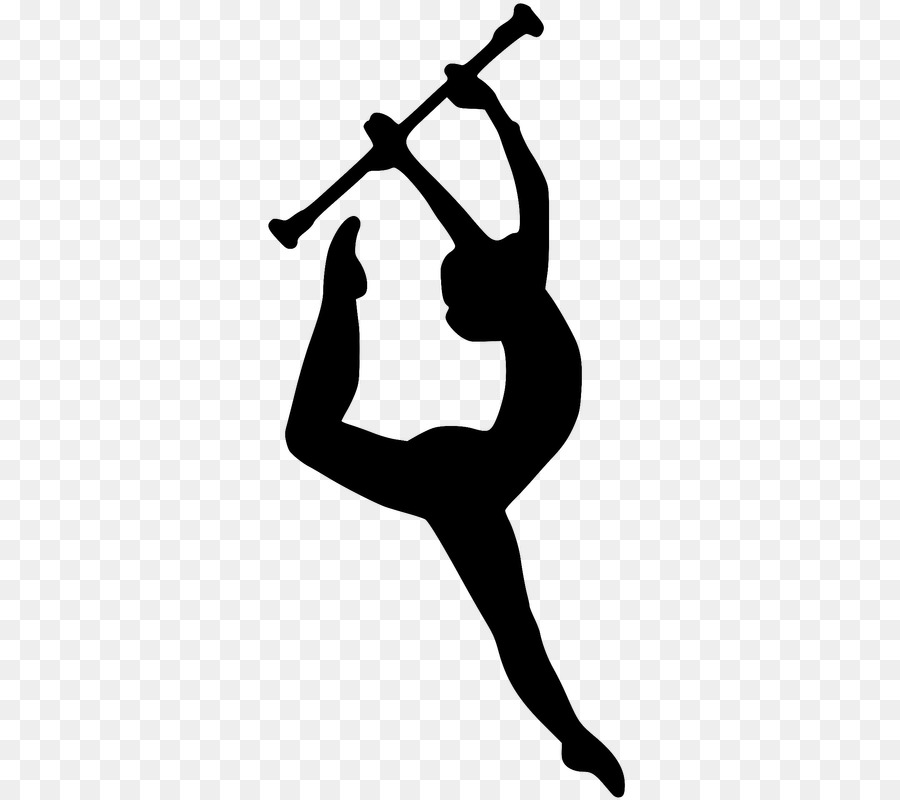 Color guard Baton twirling Colour guard Winter guard Marching band - Silhouette png download - 371*800 - Free Transparent Color Guard png Download.