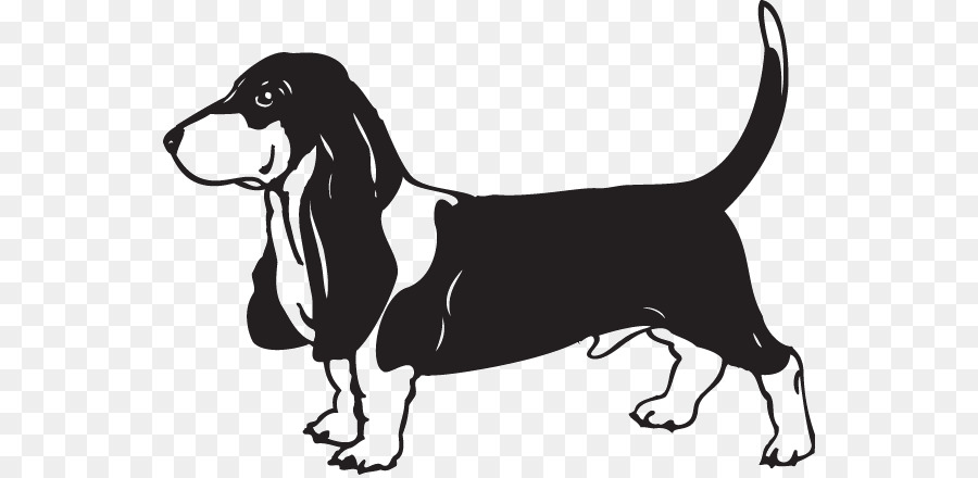 Basset Hound Treeing Walker Coonhound Dachshund Hunting - others png download - 600*437 - Free Transparent Basset Hound png Download.