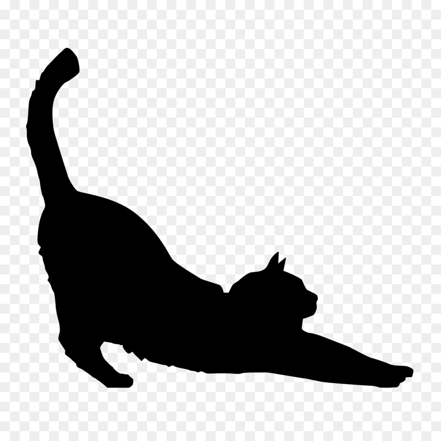 Maine Coon Kitten Silhouette Black cat Clip art - kitten png download - 2400*2400 - Free Transparent Maine Coon png Download.