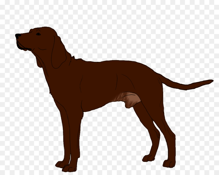 Redbone Coonhound Labrador Retriever Dog breed Puppy Black and Tan Coonhound - puppy png download - 1000*799 - Free Transparent Redbone Coonhound png Download.