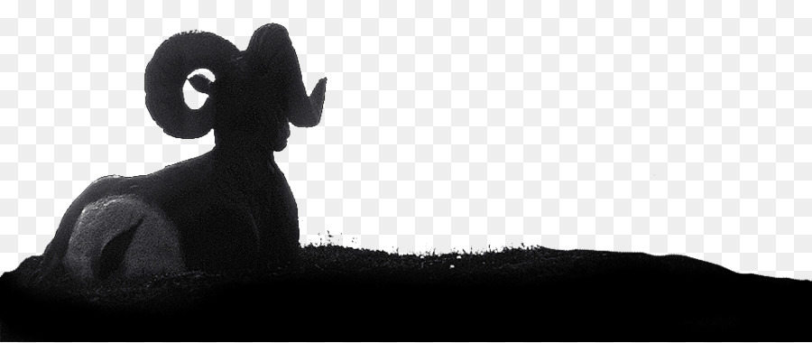 Mammal Black Silhouette White Snout - Trophy Hunting png download - 960*404 - Free Transparent Mammal png Download.