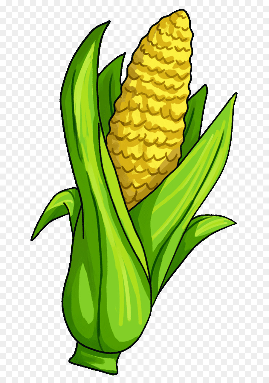 Corn on the cob Candy corn Maize Vegetable Clip art - corn png download - 720*1280 - Free Transparent Corn On The Cob png Download.