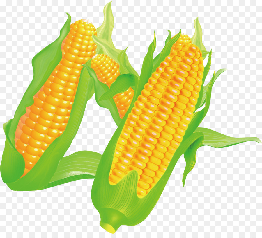 Corn on the cob Maize Food - corn png download - 903*808 - Free Transparent Corn On The Cob png Download.