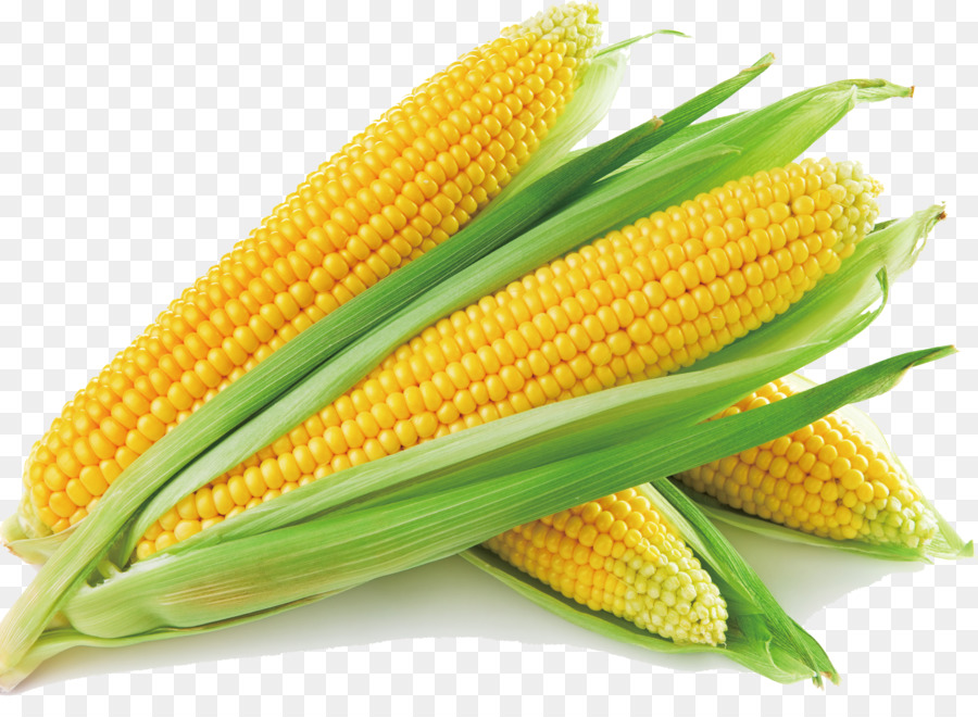 Sweet corn Corn on the cob Corn soup Maize Vegetable - corn png download - 2677*1907 - Free Transparent Sweet Corn png Download.