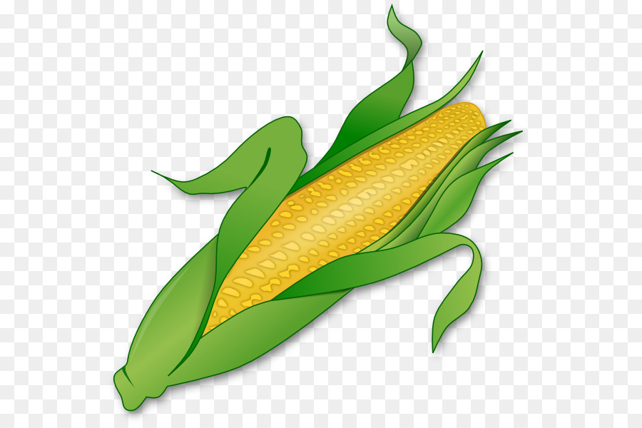 Corn on the cob Maize Sweet corn Clip art - Cornstalk Clipart png download - 600*595 - Free Transparent Corn On The Cob png Download.