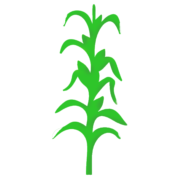 wall-decal-stencil-mural-painting-corn-leaves-png-download-600-600