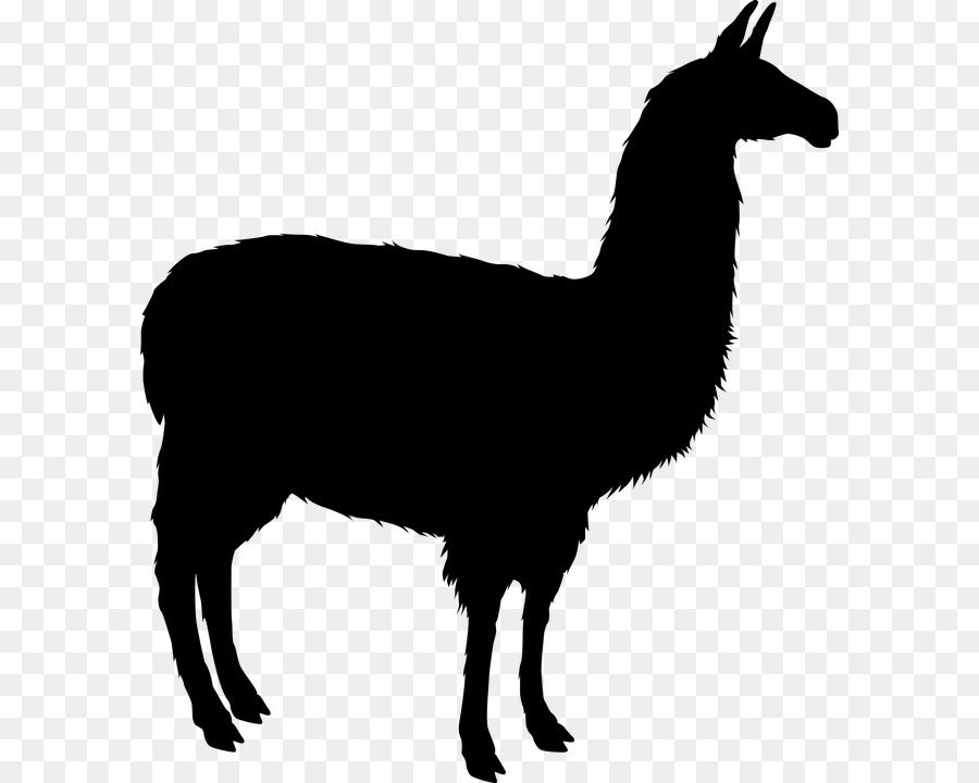 Llama Alpaca Silhouette Clip art - crooked vector png download - 642*720 - Free Transparent Llama png Download.