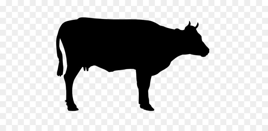 Holstein Friesian cattle Welsh Black cattle Beef cattle Clip art - Black Cow Png Siluete png download - 999*663 - Free Transparent Cattle png Download.