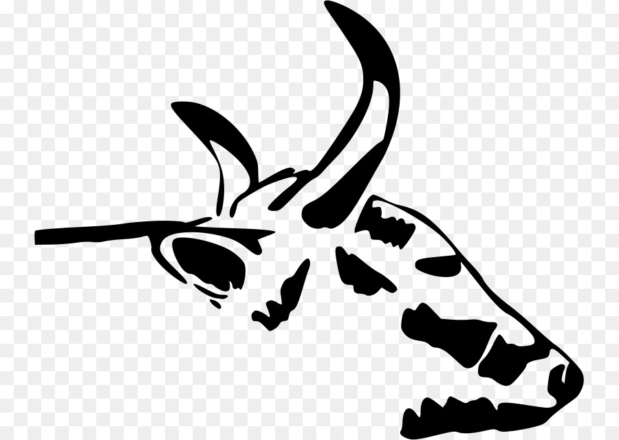 Highland cattle Beef cattle Clip art - cow head png download - 800*640 - Free Transparent Highland Cattle png Download.