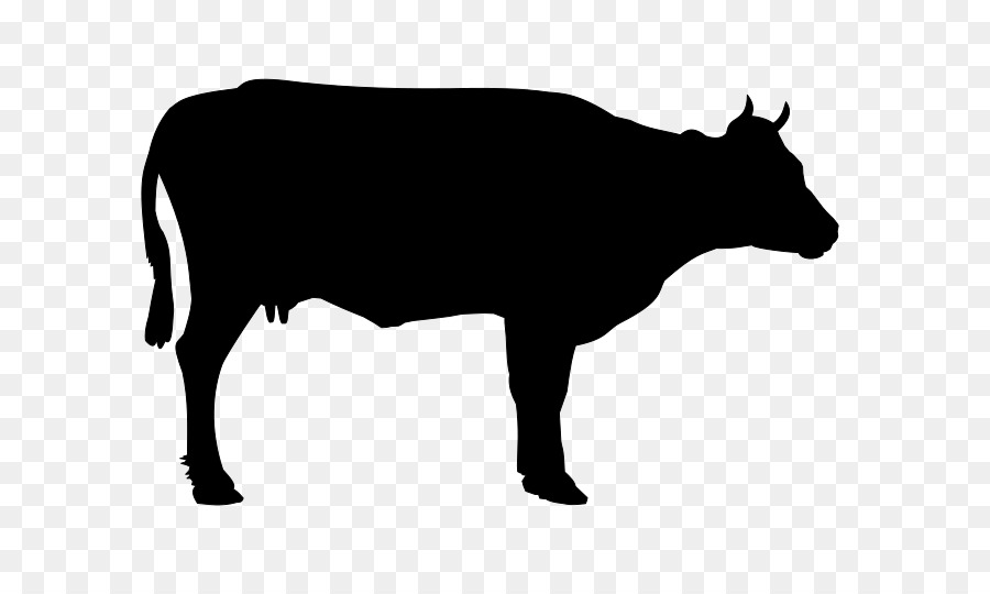 Holstein Friesian cattle Welsh Black cattle Angus cattle Beef cattle Hereford cattle - black cow png download - 800*531 - Free Transparent Holstein Friesian Cattle png Download.