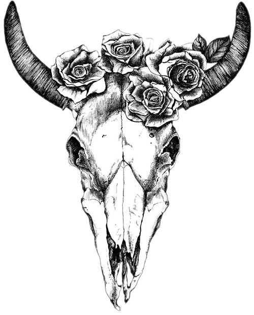 Texas Longhorn Drawing Human Skull Symbolism Bull Skull Png Download 500 620 Free Transparent Texas Longhorn Png Download Clip Art Library