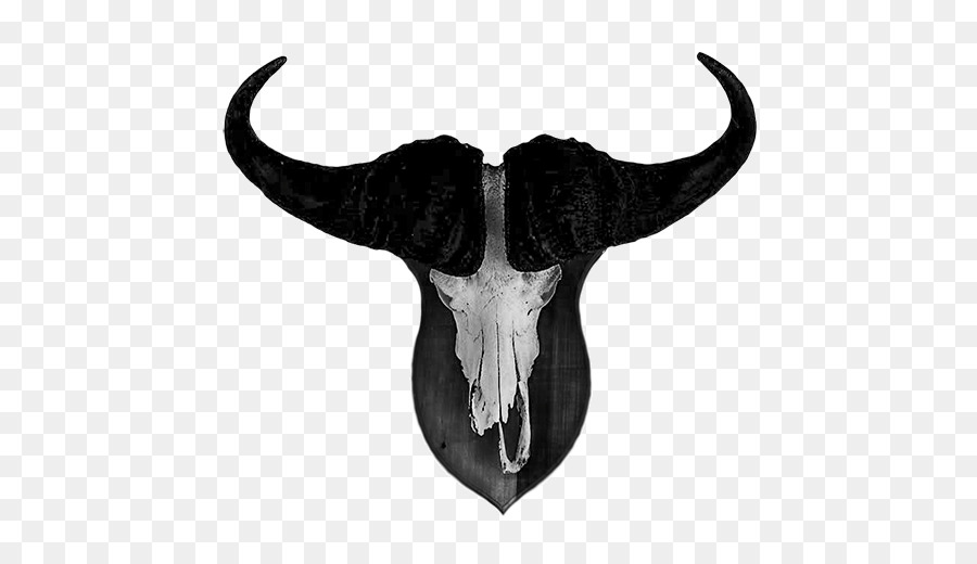 Cattle Skull White Jeffrey Horn - skull png download - 512*512 - Free Transparent Cattle png Download.