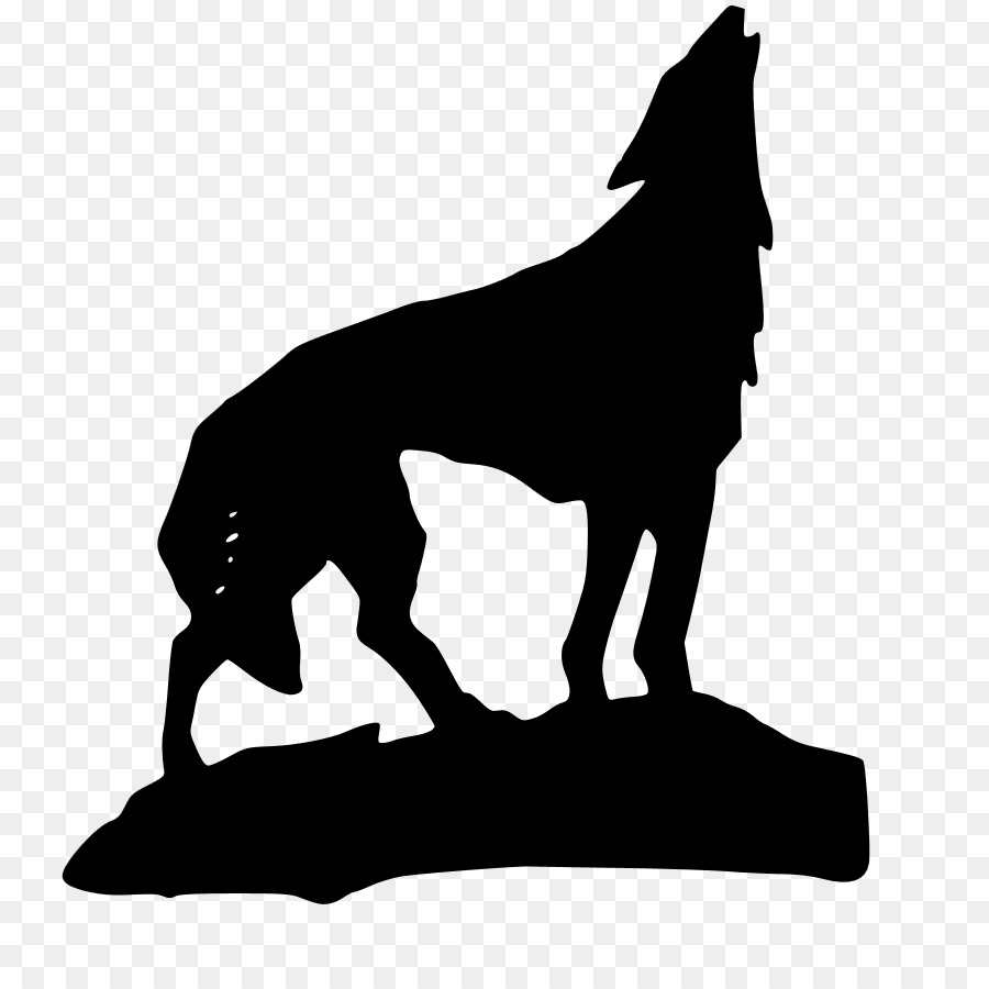 Gray wolf Coyote Aullido Clip art - mean dog png download - 793*893 - Free Transparent Gray Wolf png Download.