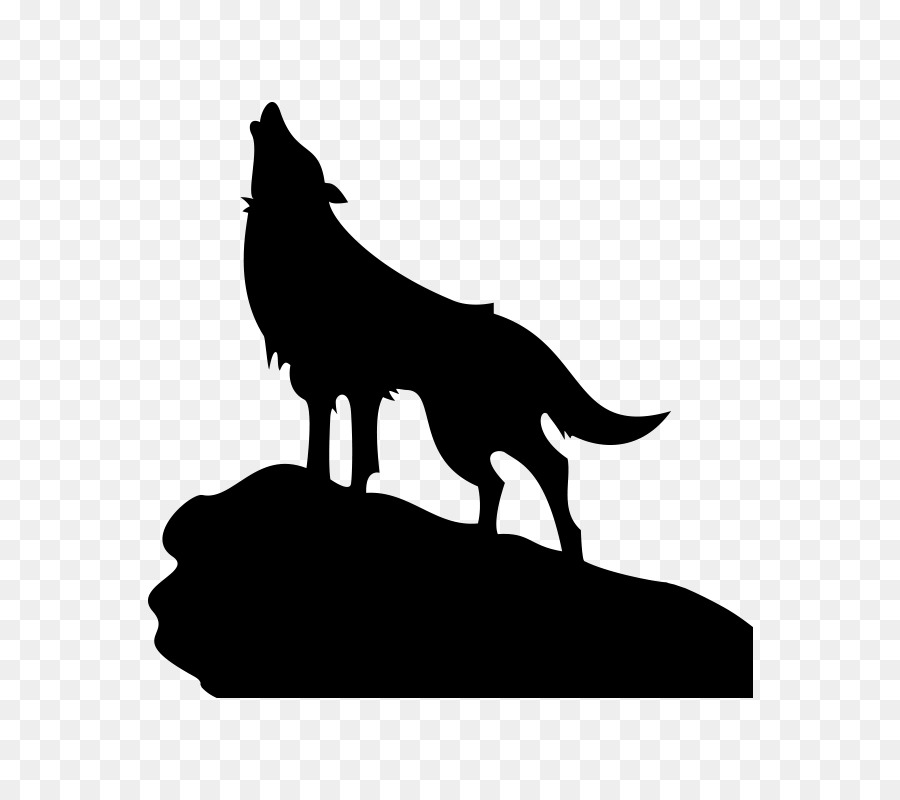Gray wolf Coyote Silhouette - Tem png download - 800*800 - Free Transparent Gray Wolf png Download.