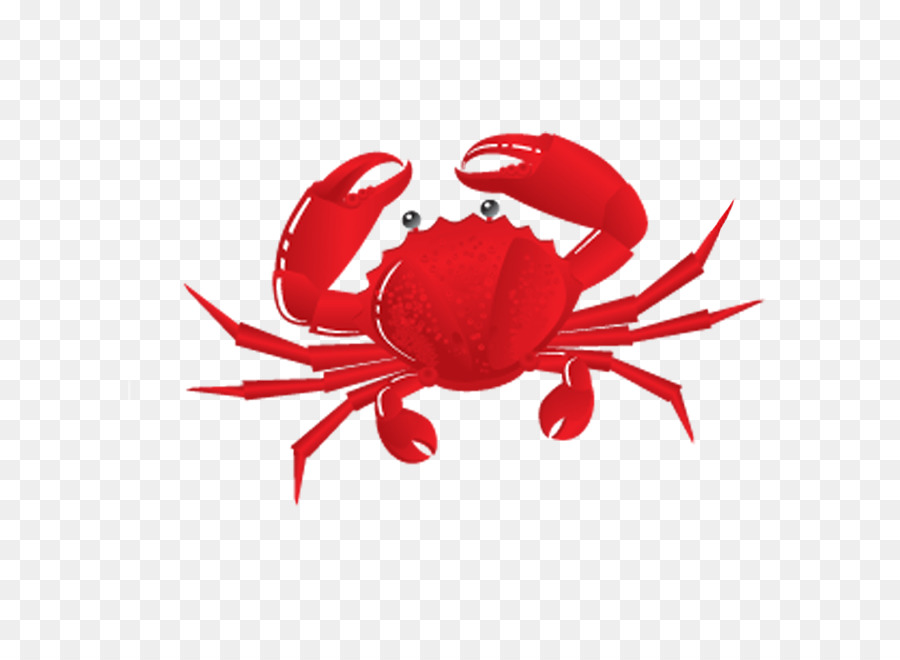 Chilli crab Clip art Vector graphics 4th Annual United Way Crab Feast - crab png download - 800*650 - Free Transparent Crab png Download.
