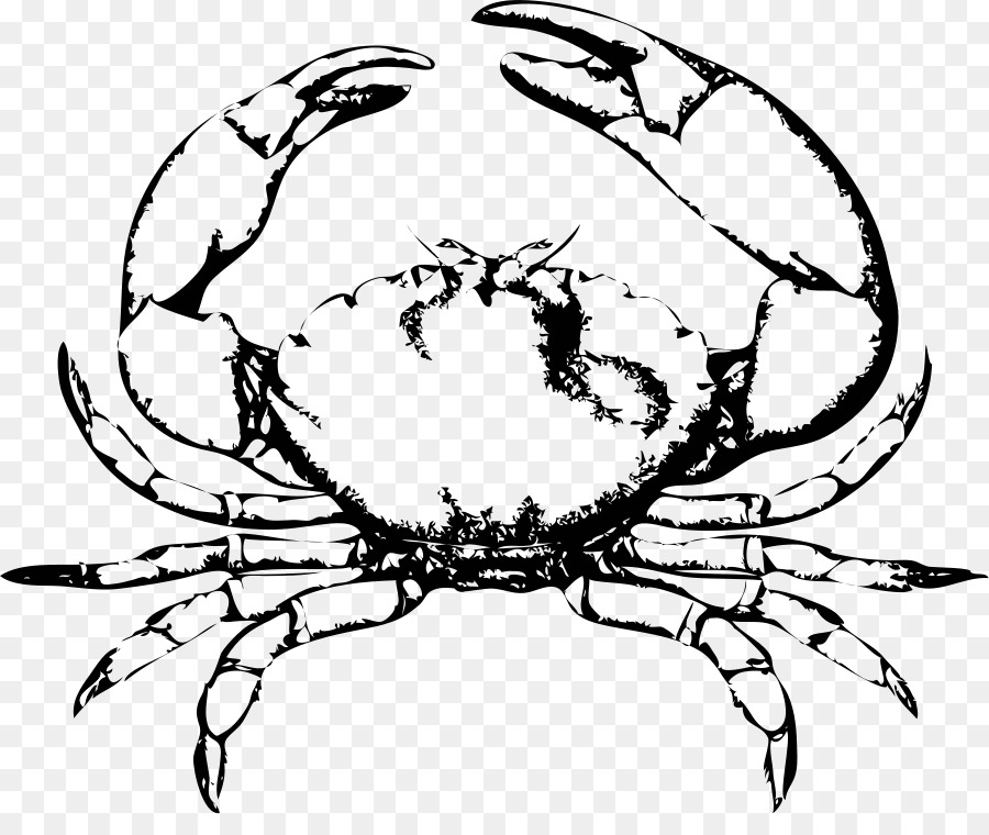 Chesapeake blue crab Free content Clip art - Crab Vector png download - 900*741 - Free Transparent  png Download.