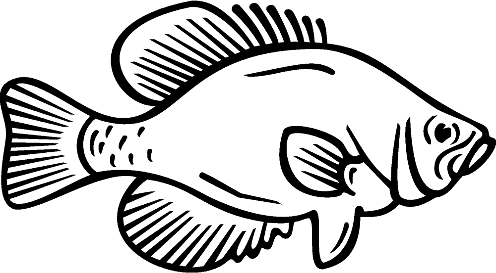 Coloring book White crappie Fish Black crappie - fish png download