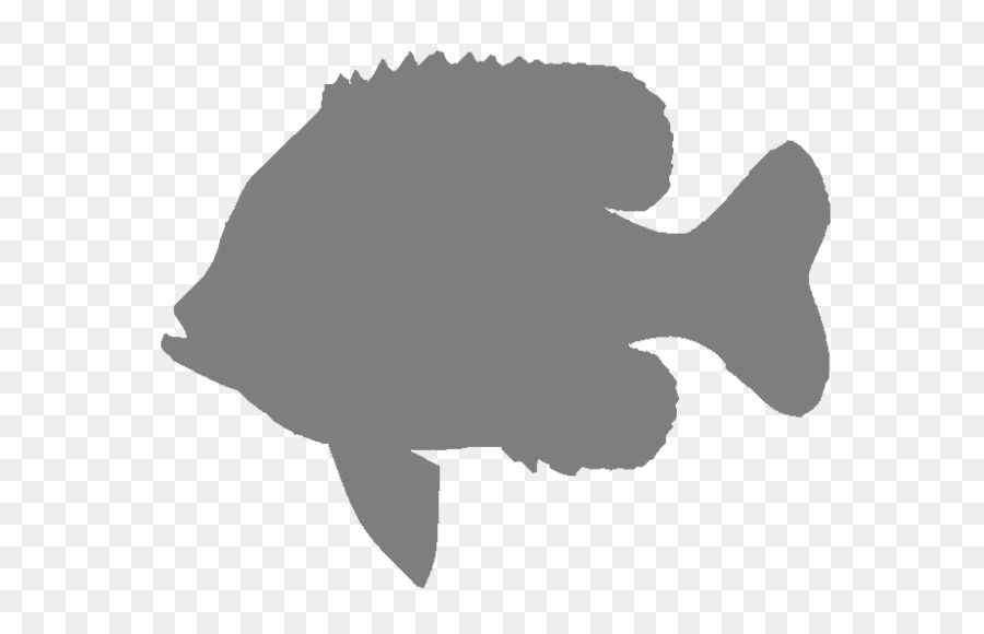 Silhouette Bluegill Clip art Image - silhouette png download - 650*563 - Free Transparent Silhouette png Download.