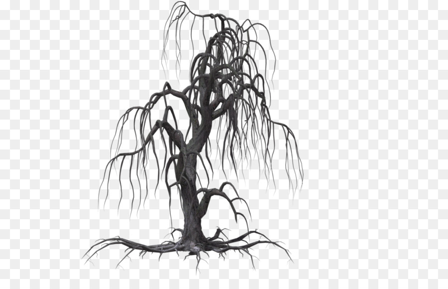 Tree Drawing Willow Clip art - Creepy Tree png download - 1024*639 - Free Transparent Tree png Download.