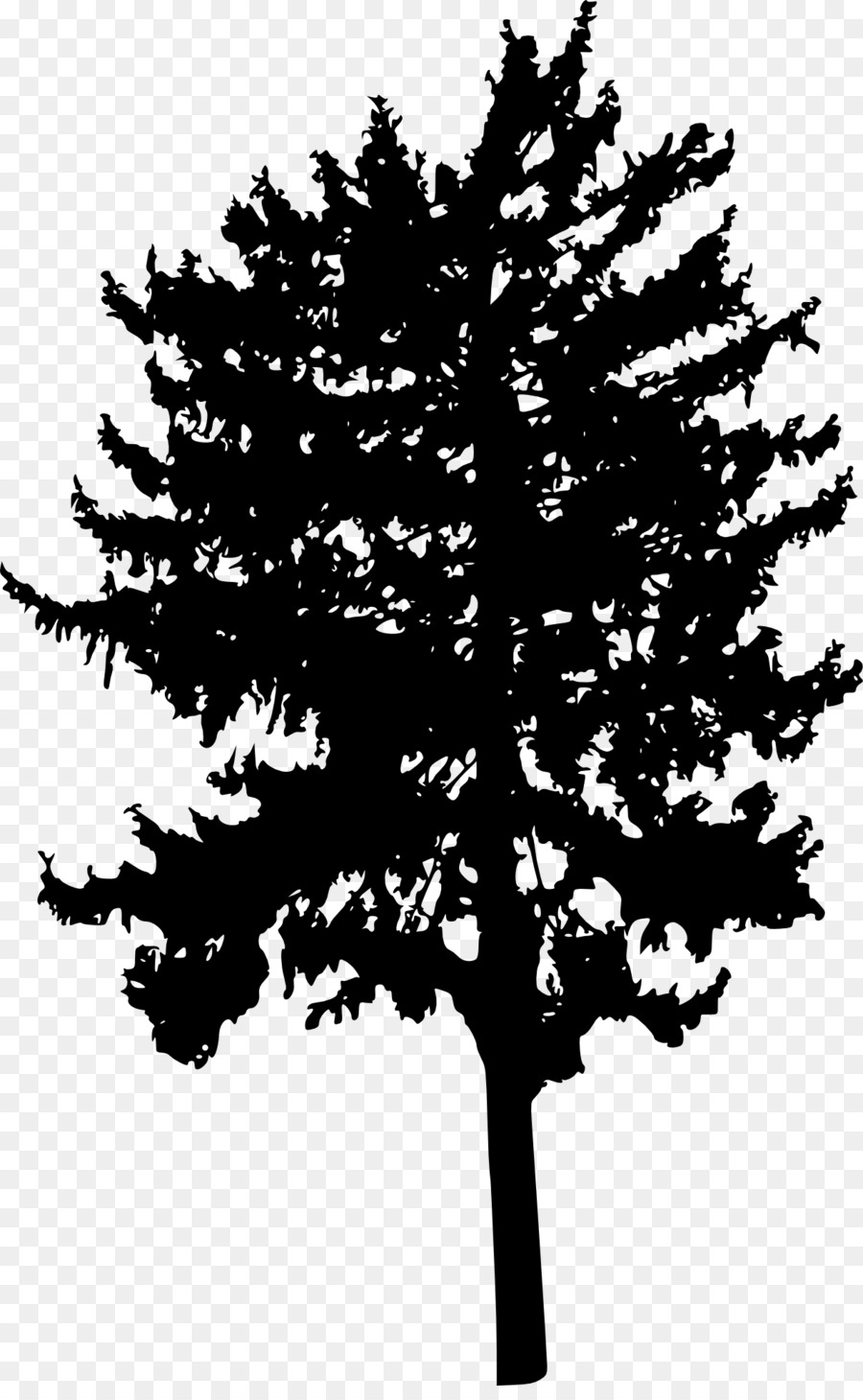 Tree Woody plant Branch Conifers - tree silhouette png download - 1246*2000 - Free Transparent Tree png Download.