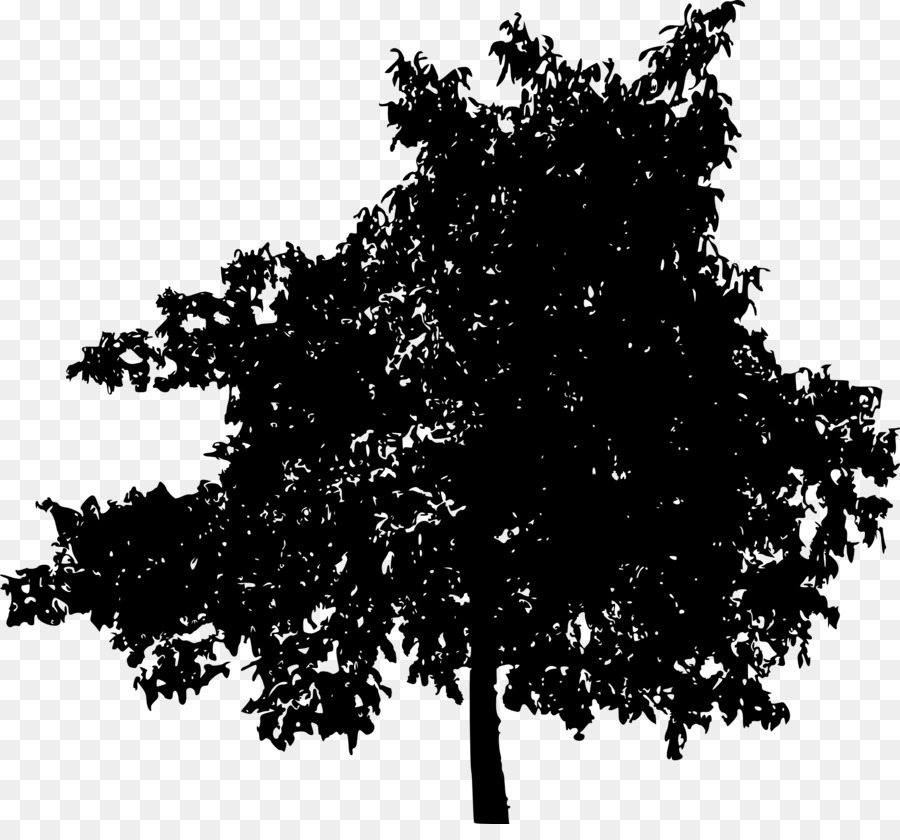 Tree Woody plant Clip art - tree transparent png download - 2000*1830 - Free Transparent Tree png Download.
