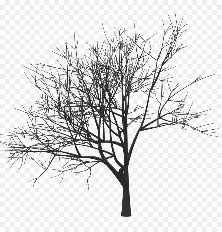 Tree Drawing Woody plant Twig Monochrome - mark zuckerberg png download - 1600*1669 - Free Transparent Tree png Download.