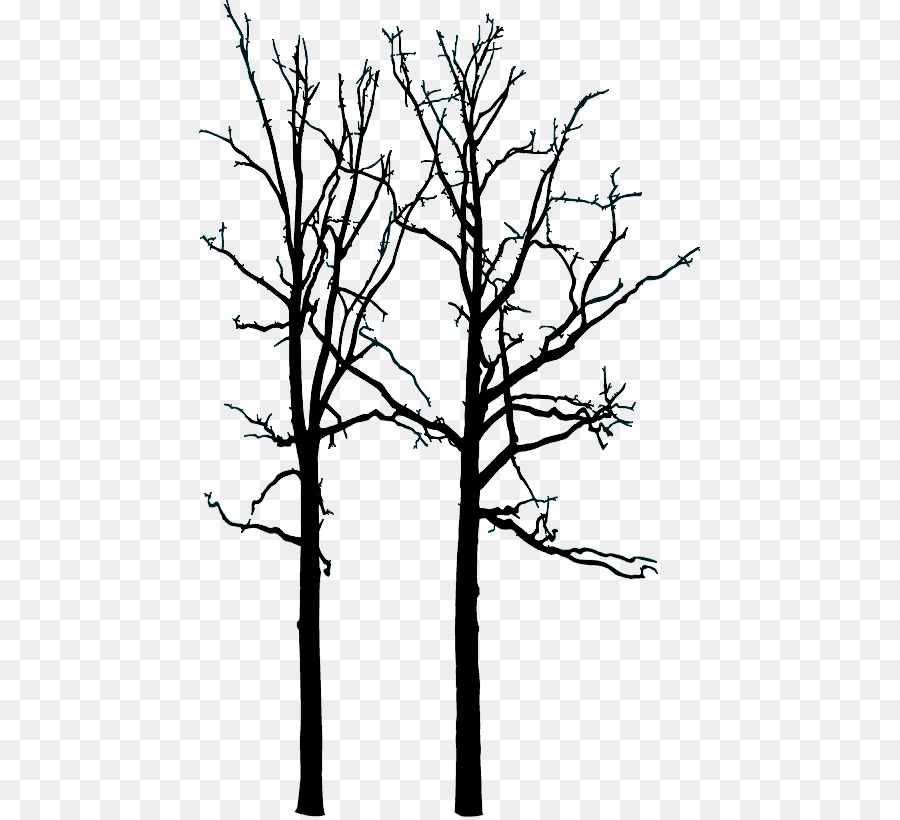 Hareskoven Tree Drawing - TWIG png download - 501*817 - Free Transparent Tree png Download.