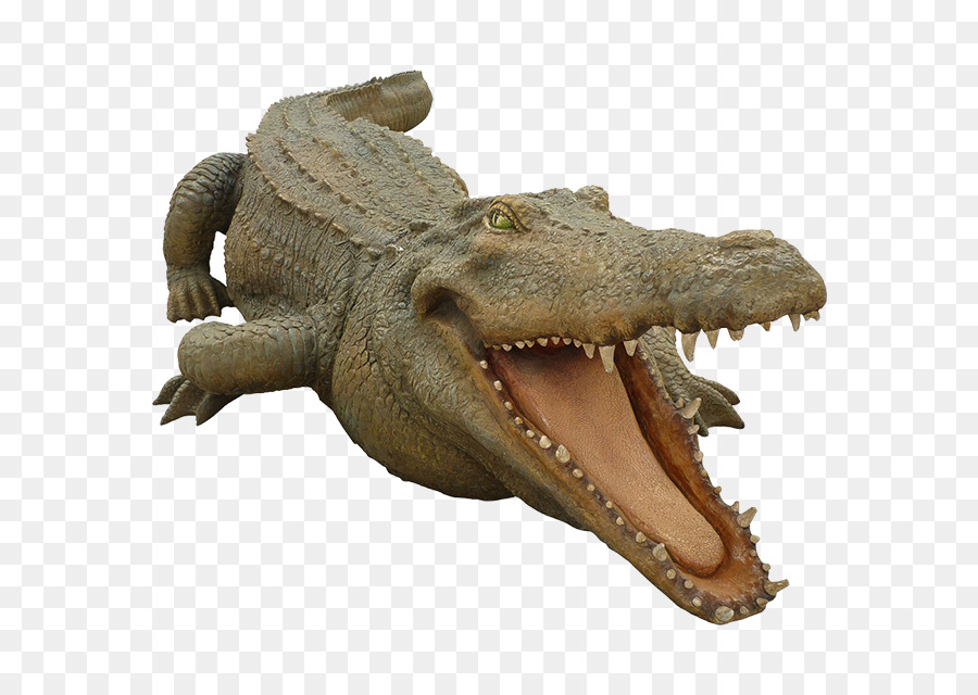 Crocodiles Nile crocodile Alligator Animal - crocodile png download - 640*640 - Free Transparent Crocodile png Download.