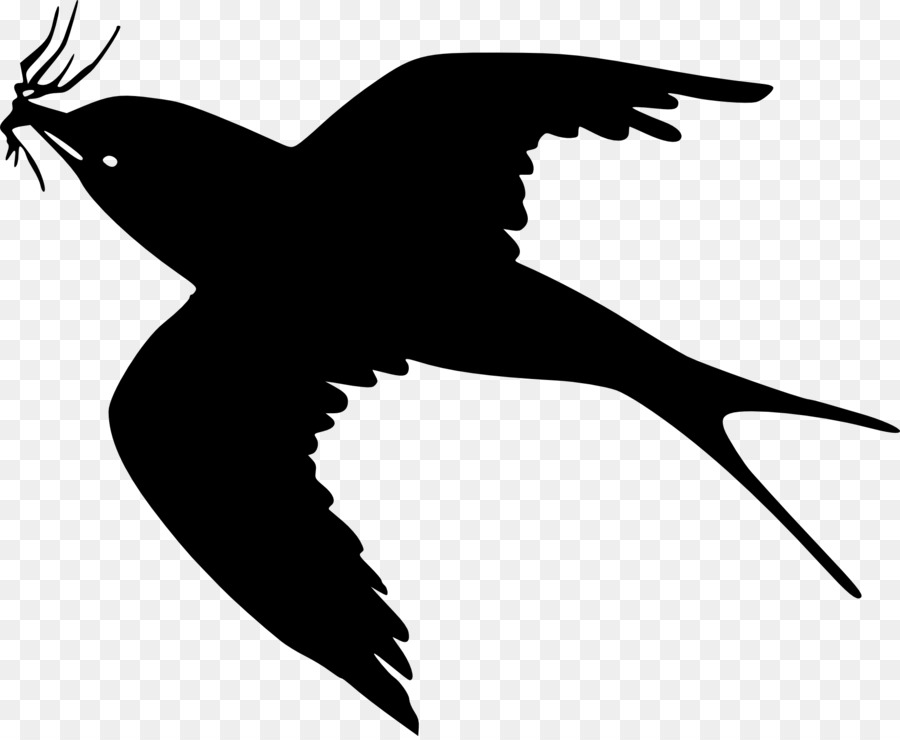 Bird Gulls Crows Drawing Clip art - flying bird png download - 1920*1571 - Free Transparent Bird png Download.