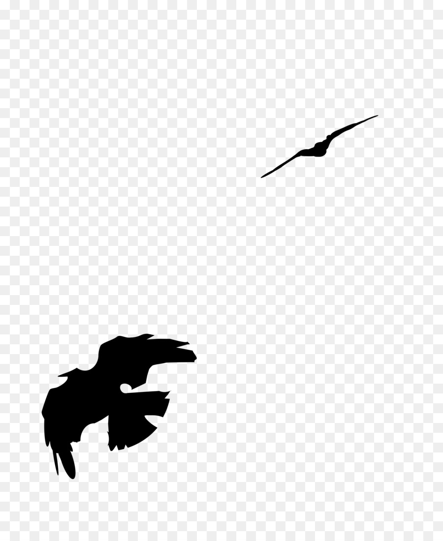 Bird Carrion crow Clip art - black crow png download - 2400*2896 - Free Transparent Bird png Download.