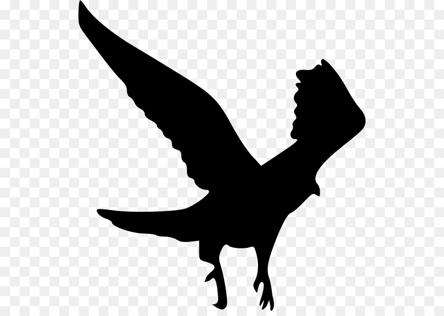 Silhouette Hawk Clip art - flying crow png download - 582*630 - Free Transparent Silhouette png Download.